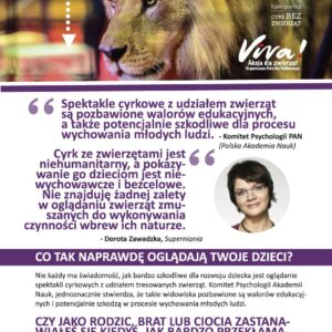 Pakiet 50 ulotek - Czego nie wiesz o cyrkach?