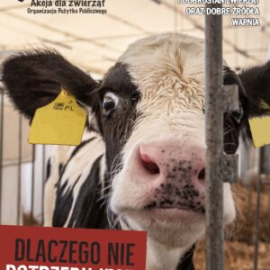 broszura "Dlaczego nie potrzebujesz nabiału"