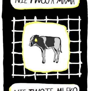 Pakiet 50 ulotek kampanii Białe Kłamstwa