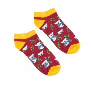 Skarpetki stopki w niedźwiedzie