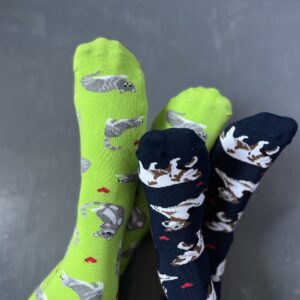 ZESTAW Skarpetek Viva! '24 Kotki Krzyśki + Pieski Seniorki