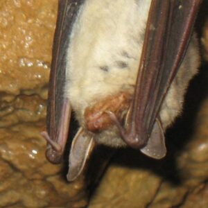 Testowy produkt wirtualny